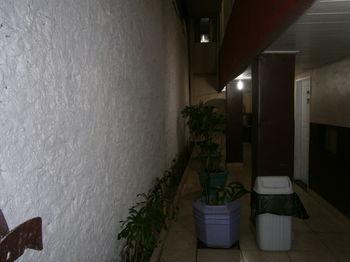 Hotel Albatroz Manaus Exterior photo